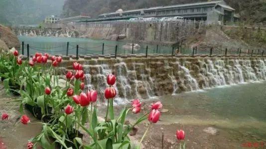 海南最牛黑老大刘进荣,成立帮派公然袭警不可一世,最终结局如何